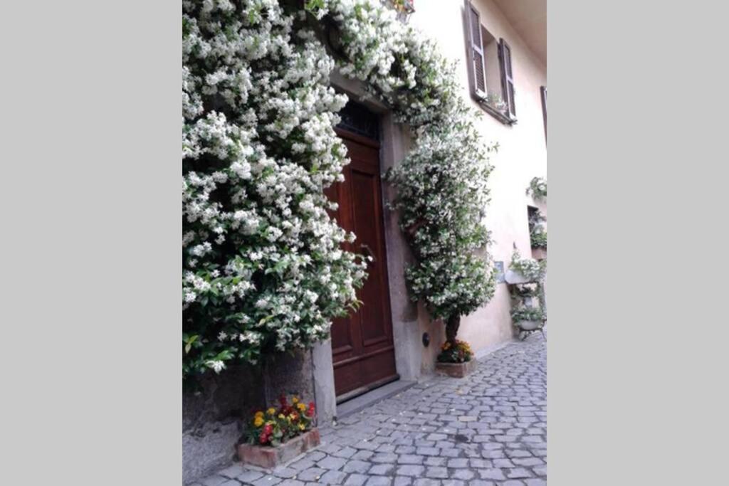 Il Gelsomino Di Isia Villa Orvieto Eksteriør bilde