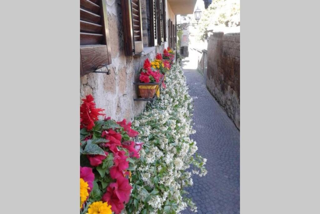 Il Gelsomino Di Isia Villa Orvieto Eksteriør bilde