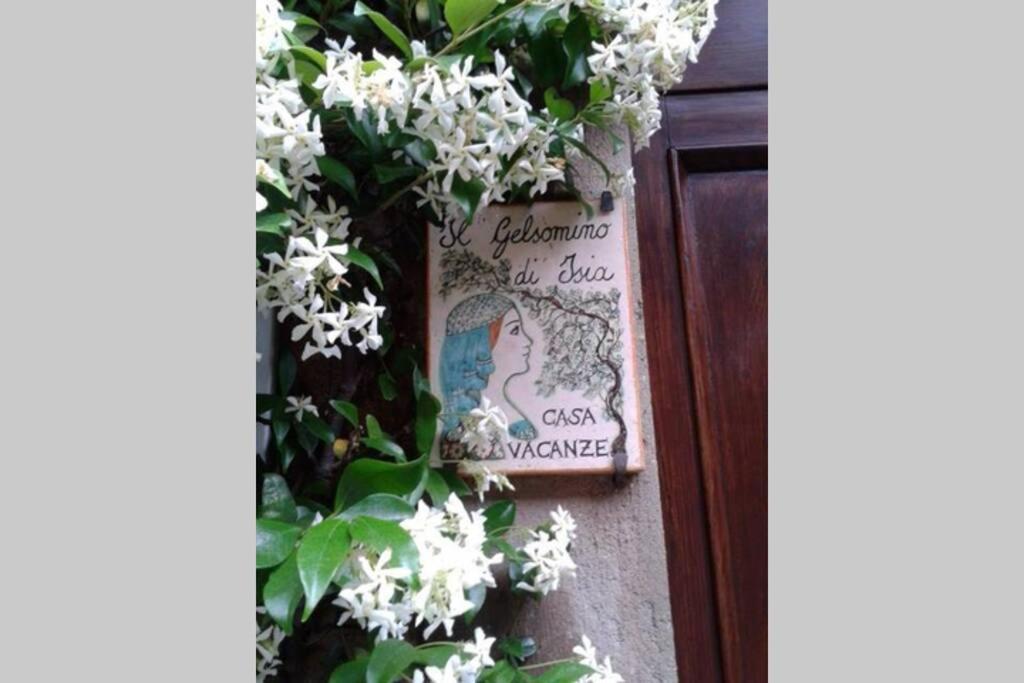 Il Gelsomino Di Isia Villa Orvieto Eksteriør bilde